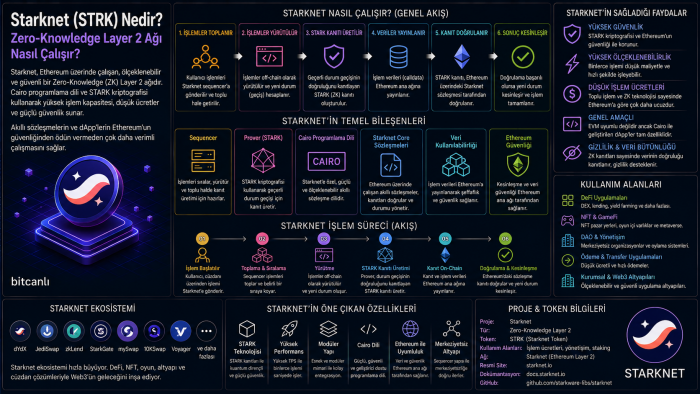 Starknet (STRK) Nedir? Zero-Knowledge Layer 2 Ağı Nasıl Çalışır?